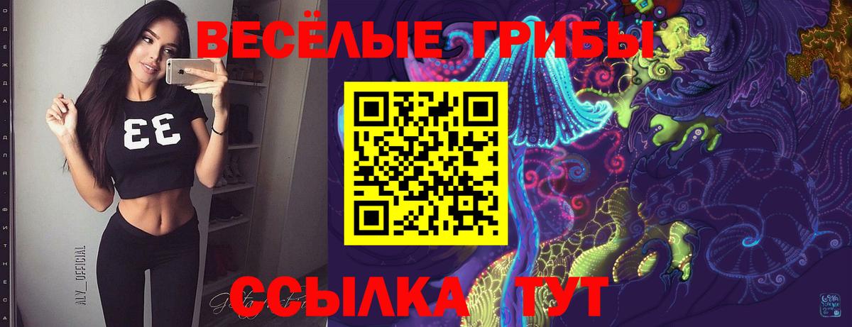 Галлюциногенные грибы GOLDEN TEACHER  Вход с VPN  Галлюциногенные грибы Cubensis  Нурлат 